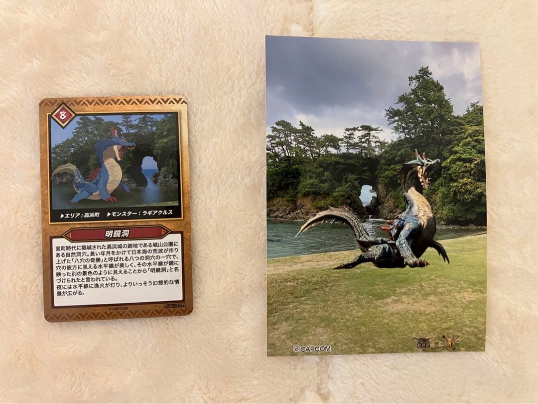 福井県モンハンコラボ　限定クリアファイルと限定トートバッグ