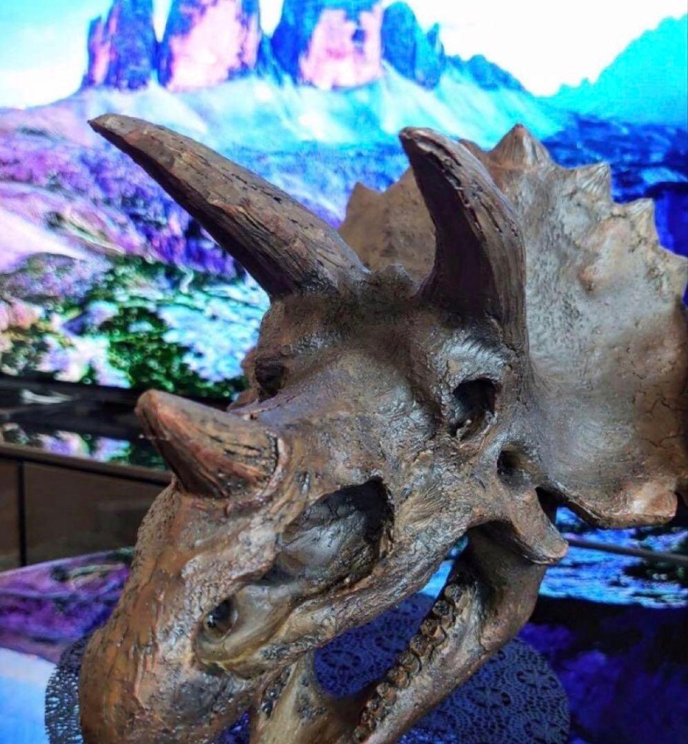 ✨お得なセット✨ ティラノサウルス トリケラトプス 化石 ジュラシックワールド