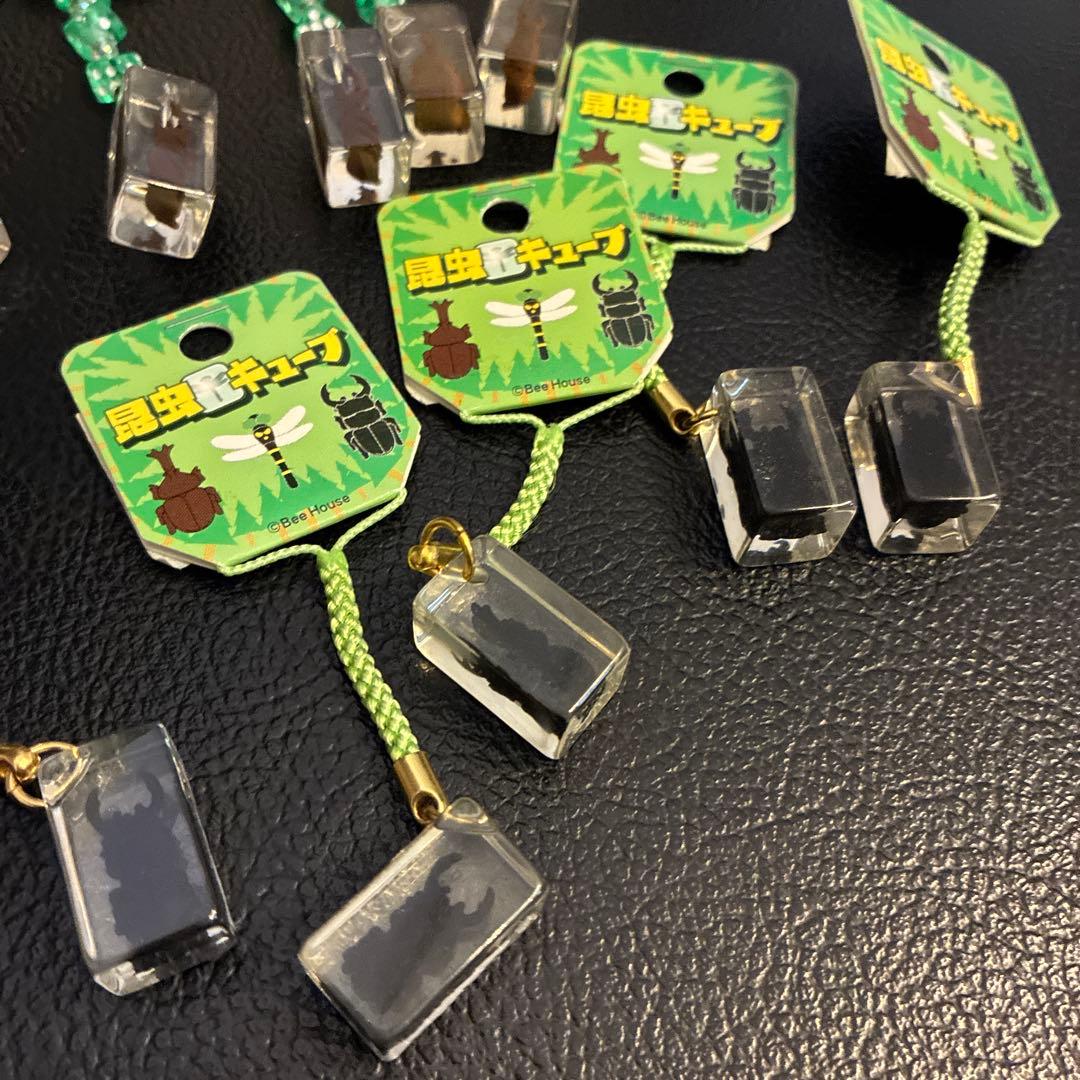 5昆虫キーホルダー 2種10個セット