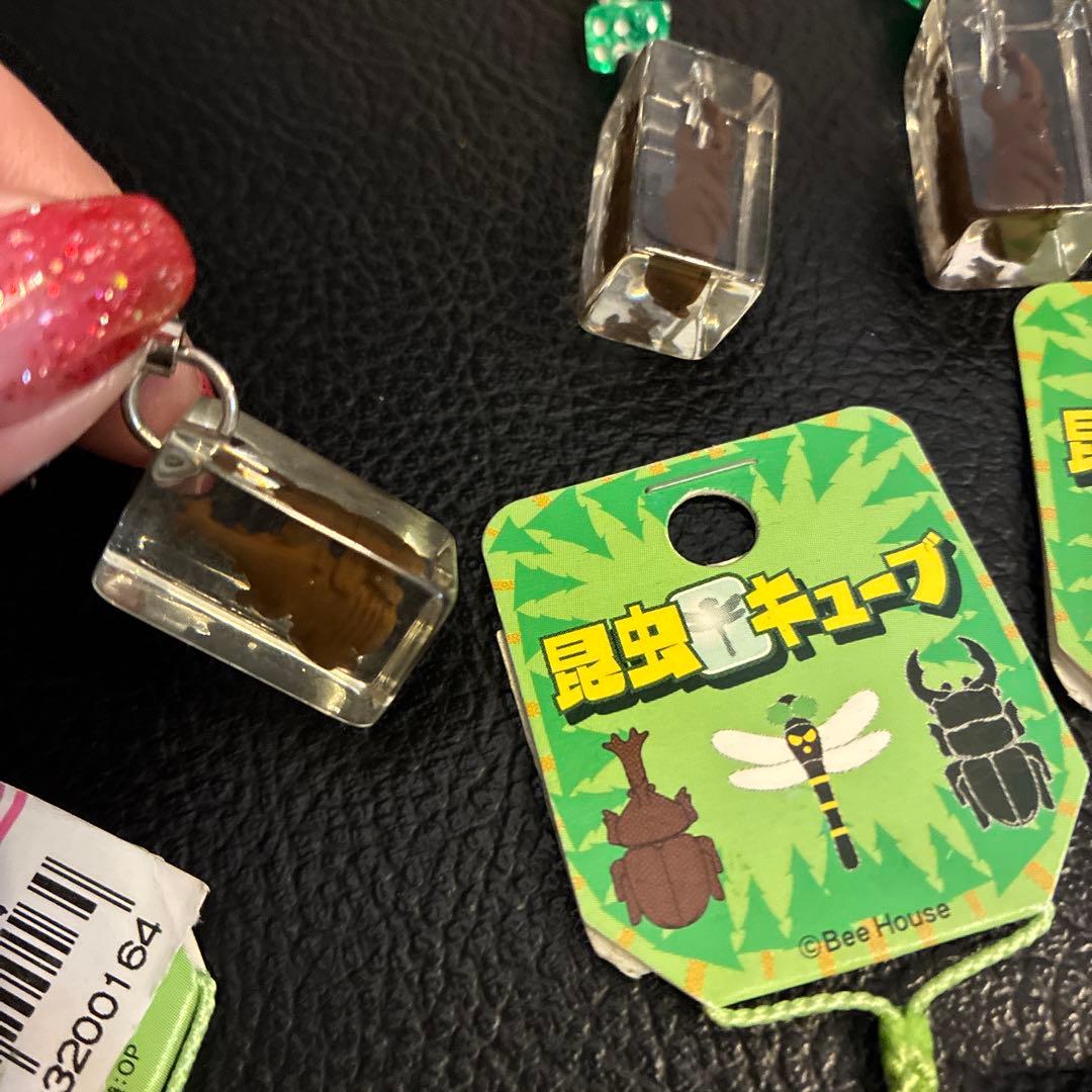 5昆虫キーホルダー 2種10個セット