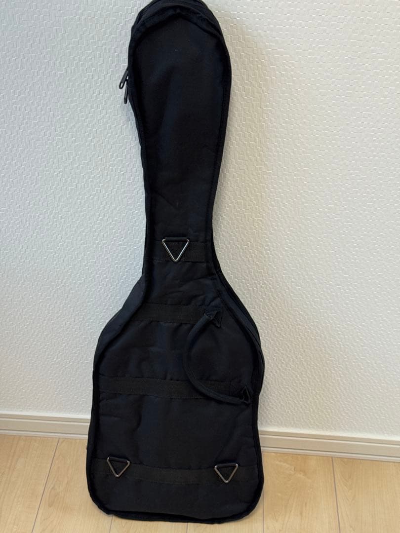 SCHECTER OL-FL SSG Oriental Line エレアコギター