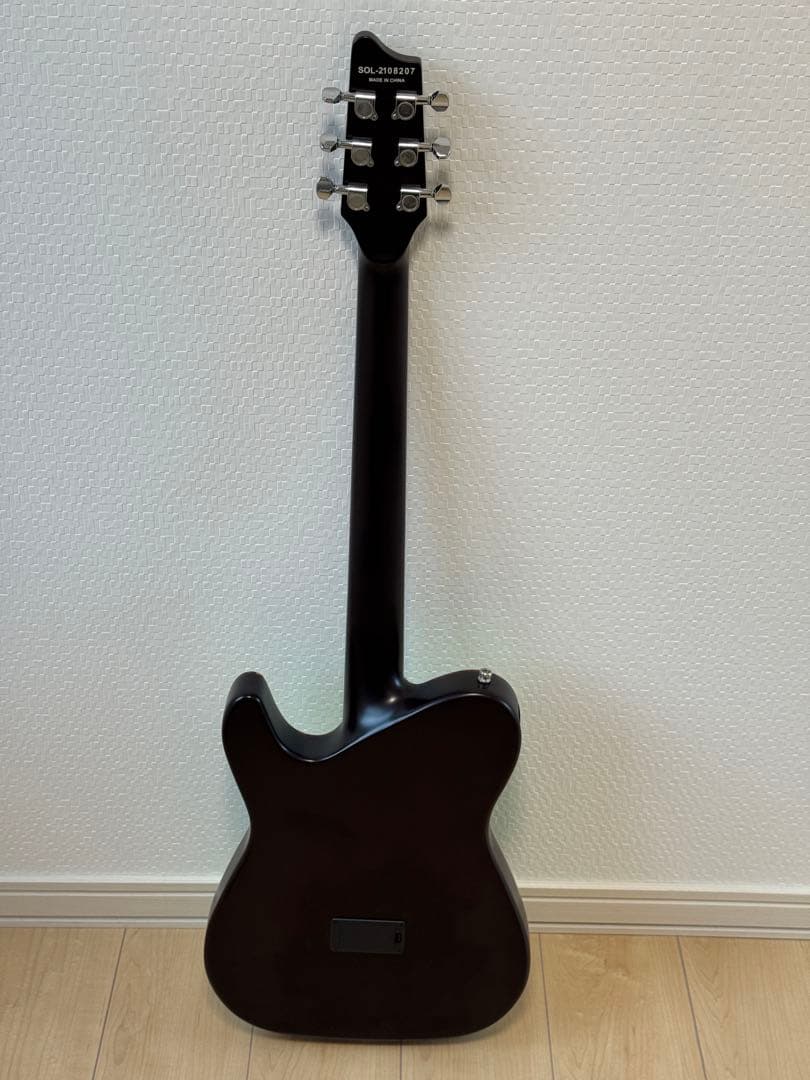 SCHECTER OL-FL SSG Oriental Line エレアコギター