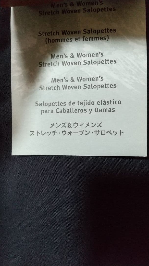 希少! パタゴニア メンズ ストレッチ・ウォーブン・サロペット 30