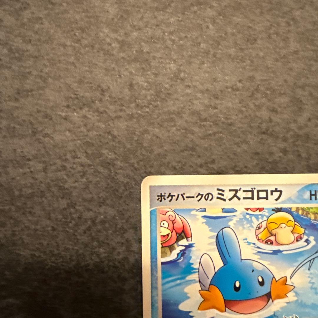 ポケモンカード ポケパークのミズゴロウ 048/PCG-P ２枚