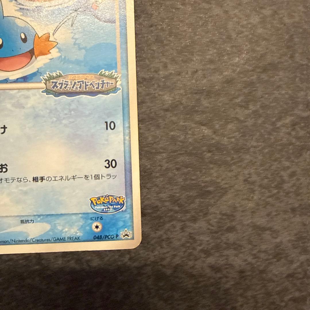 ポケモンカード ポケパークのミズゴロウ 048/PCG-P ２枚
