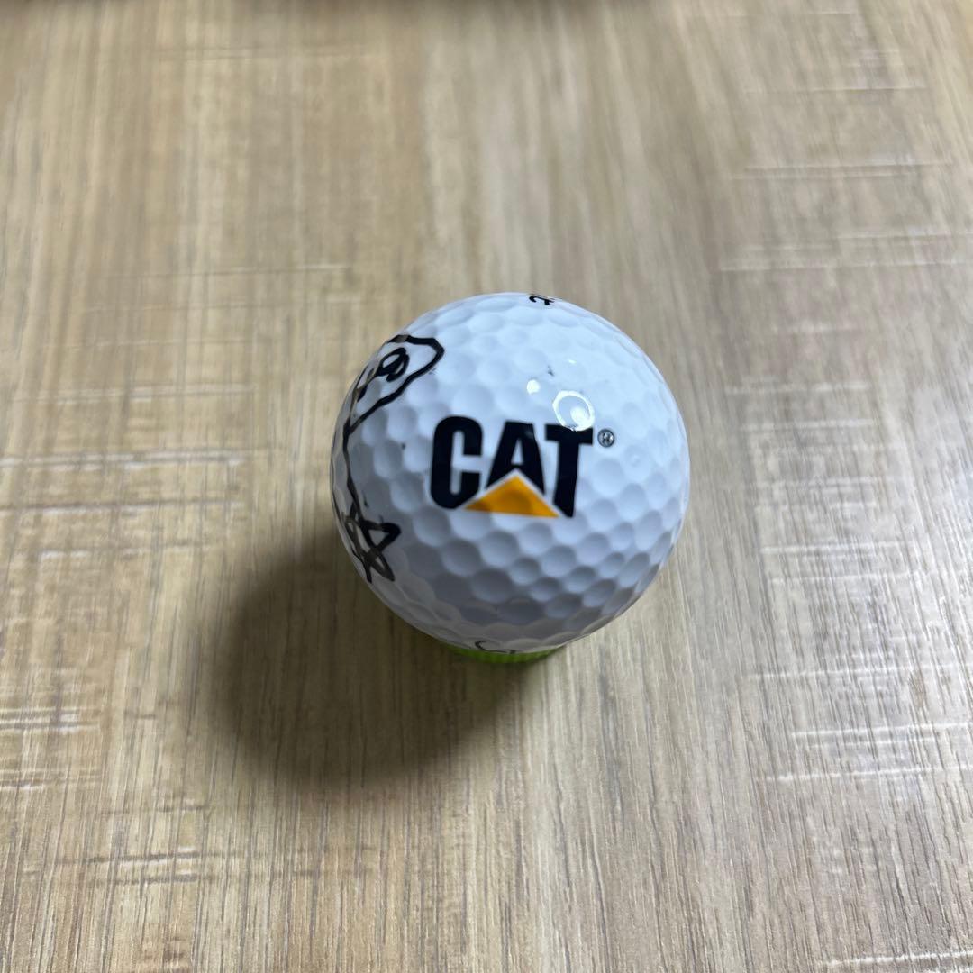 女子プロゴルフ JLPGA イボミ 直筆サインボール　CAT ladies