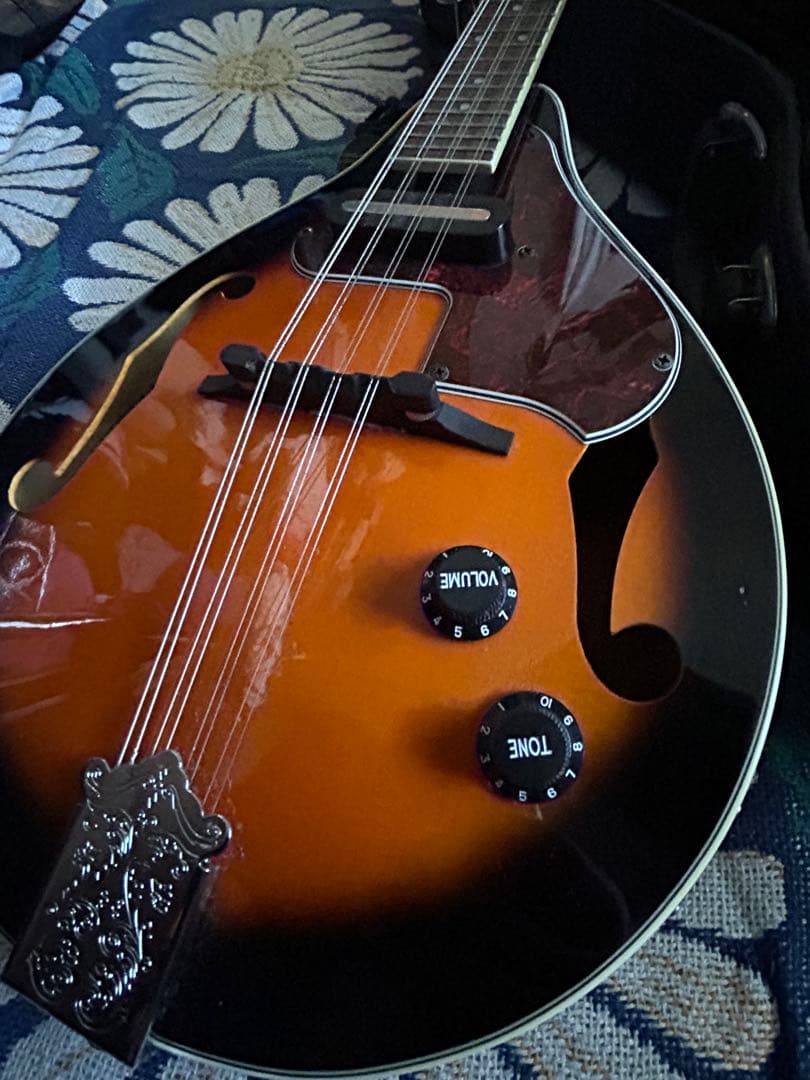 Aria AM-20E エレクトリックマンドリン ハードケース・ストラップ付