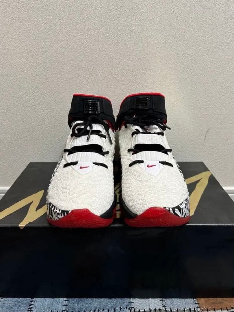 シューズ(男性用) NIKE LEBRON XVII GRAFFITI