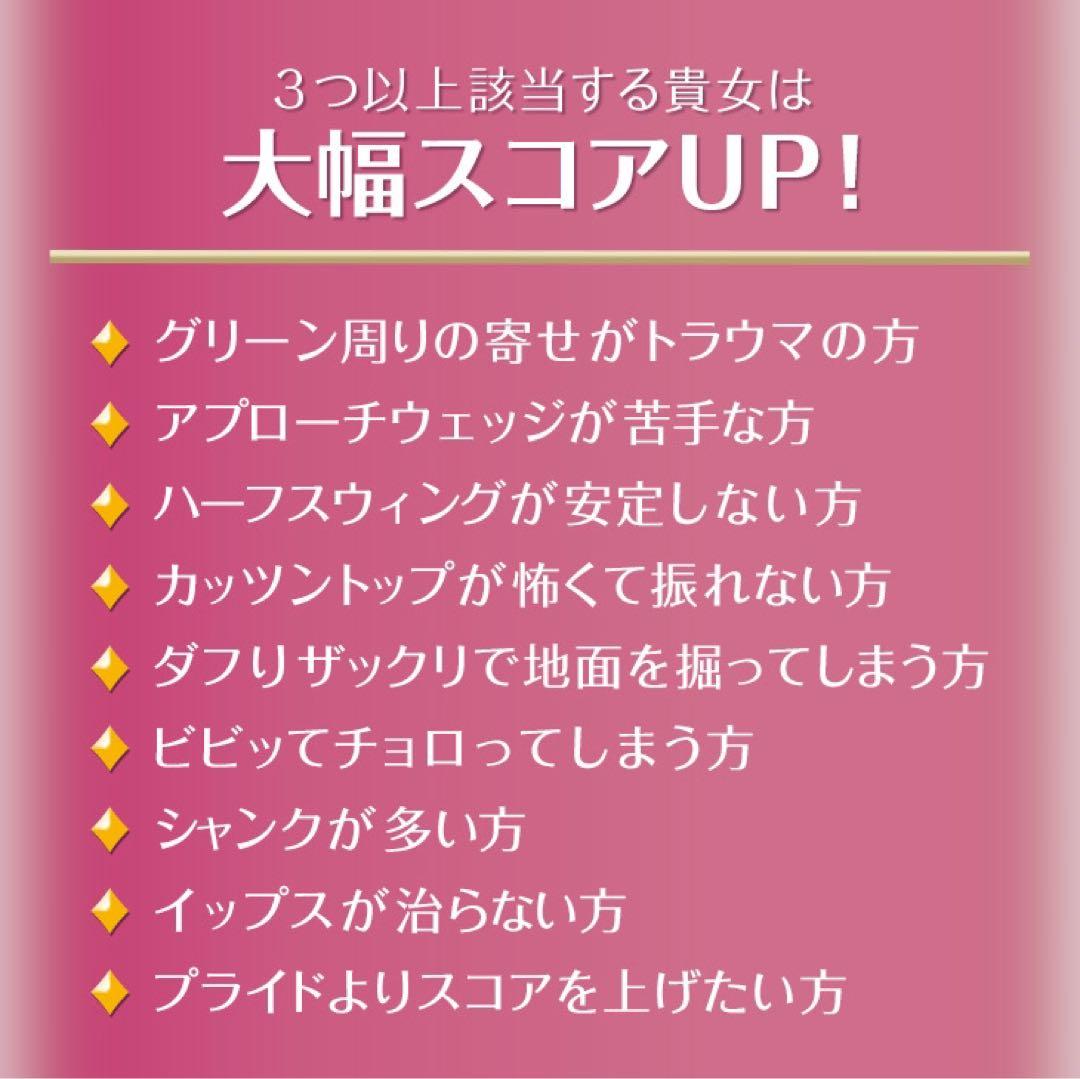 安全に10打短縮！「お助けチッパー」新発売! ダイナミクス ツアーチッパーレディ