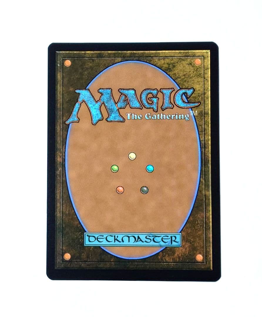 MTG 魂の導き手 日本語版 ストアチャンピオンシップ プロモ 店舗名入り