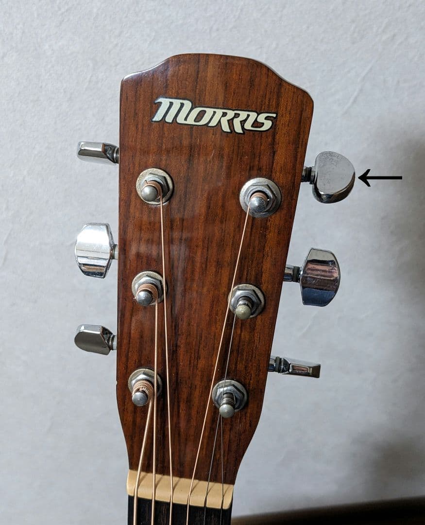 Morris F-01NAT アコースティックギター