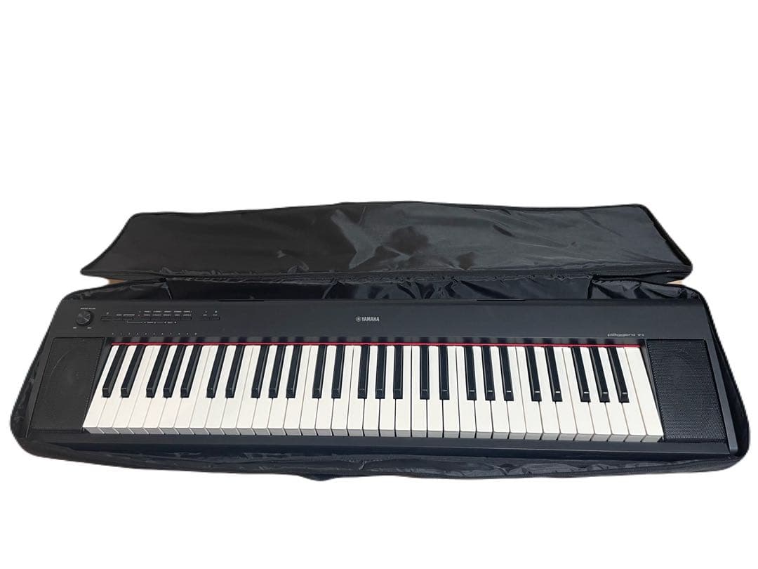YAMAHA piaggero NP-12B 純正ケース&電源アダプター付
