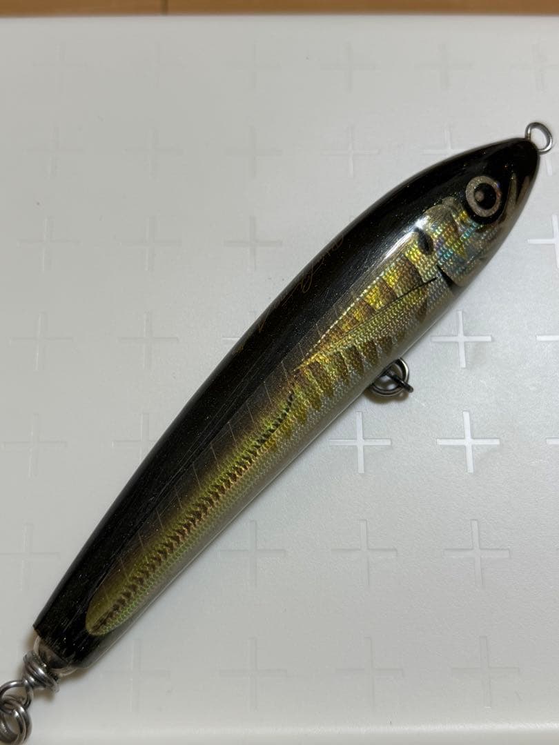 カーペンター　ブルーフィッシュ BF 60-170