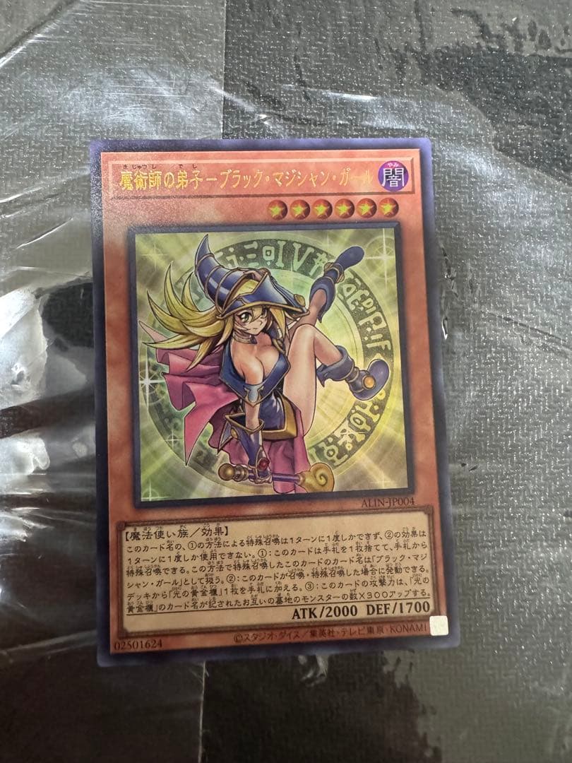 遊戯王　魔術師の弟子ブラック・マジシャン・ガール　光の黄金櫃　光の黄金櫃セット