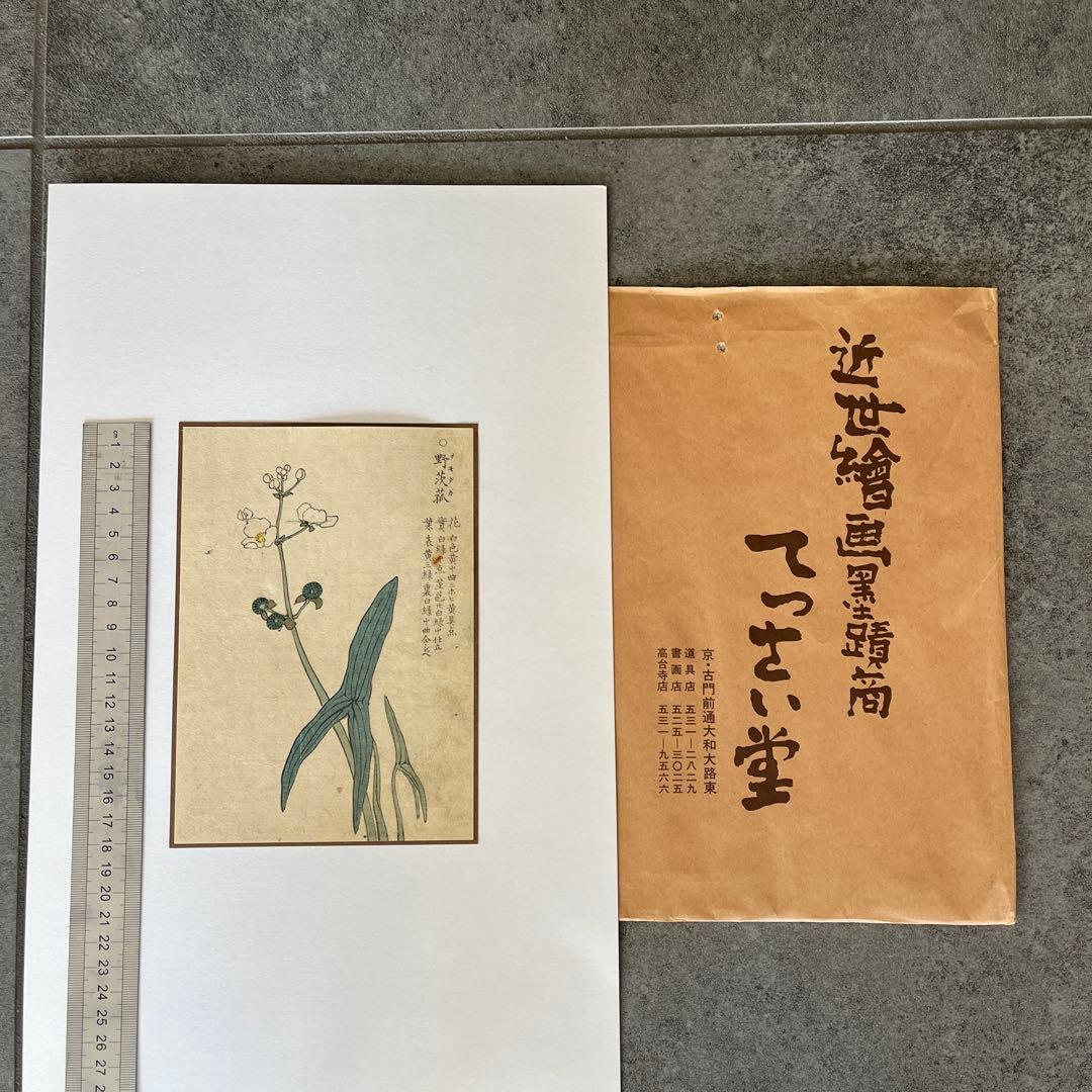 てっさい堂アンティーク版画　植物 3枚セット