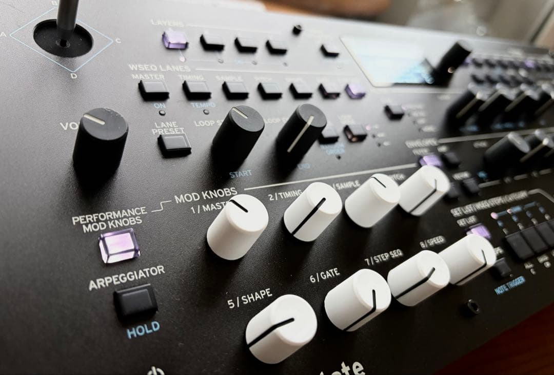 KORG シンセサイザー WAVESTATE MODULE