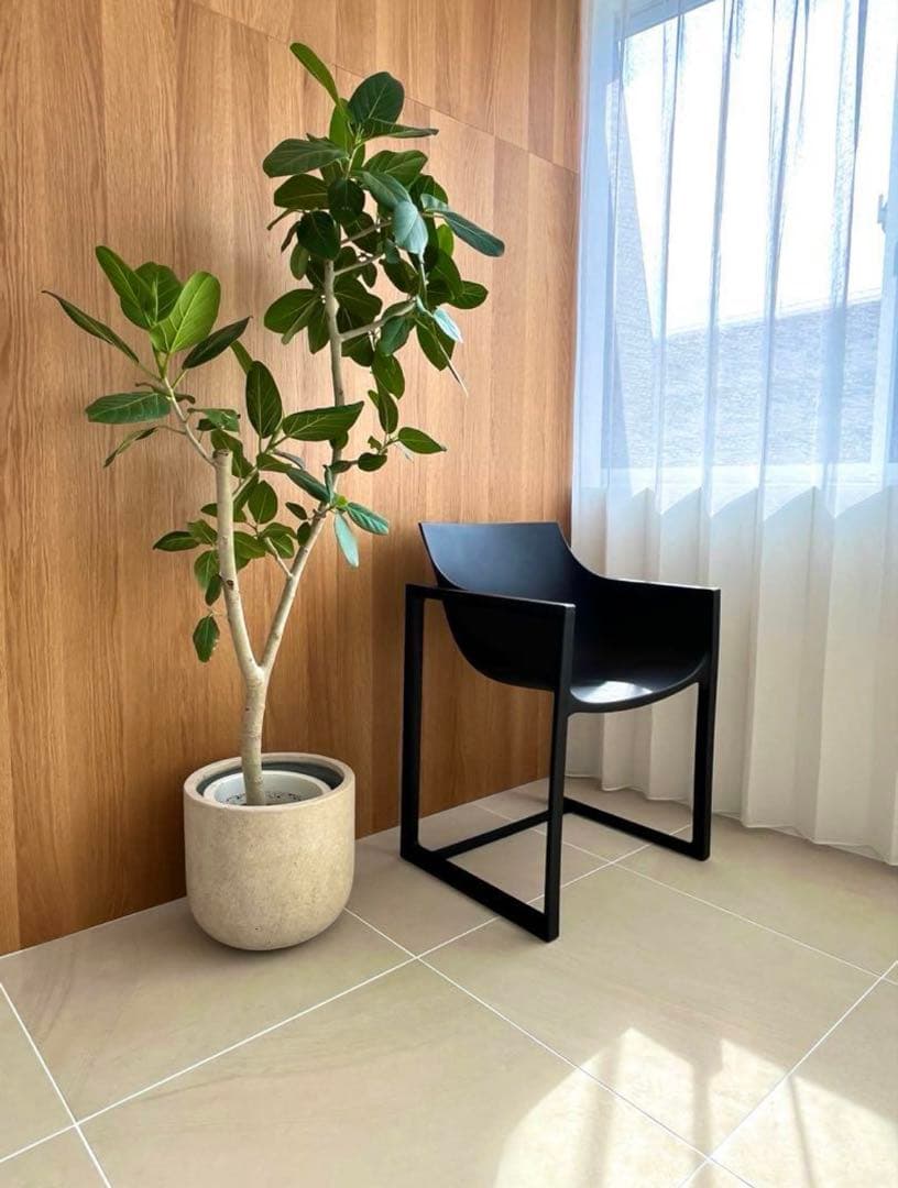 VONDOM Wall street armchair ウォールストリートチェア