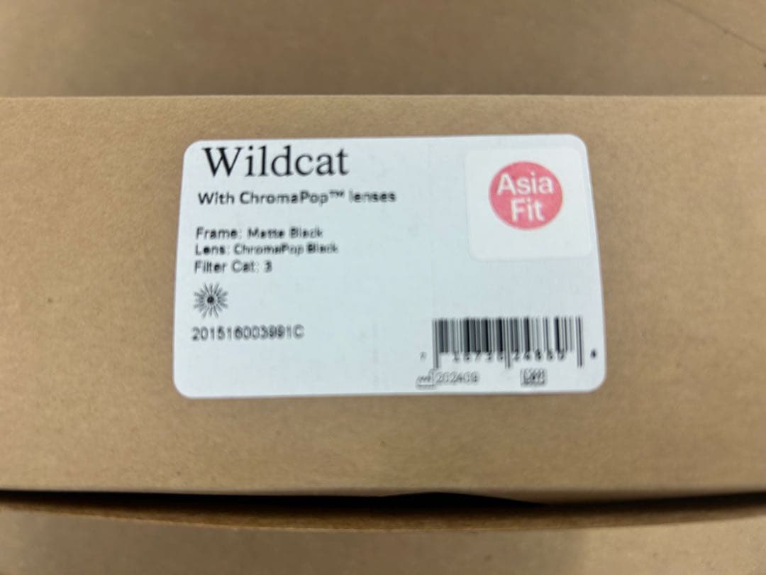 ウェア SMITH Wildcat Matte Black cp Black