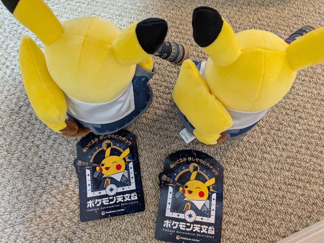 ポケモン天文台 ほしぞらピカチュウ ぬいぐるみ２個セット