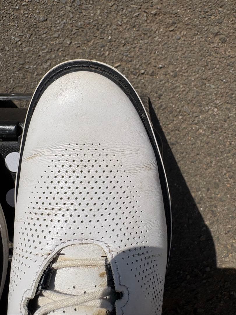 Jordan GOLF ゴルフシューズ ホワイト　ADG4