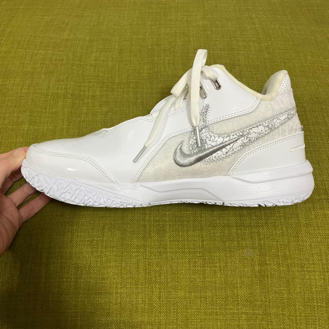 バッシュ　NIKE ナイキ LeBron NXXT
