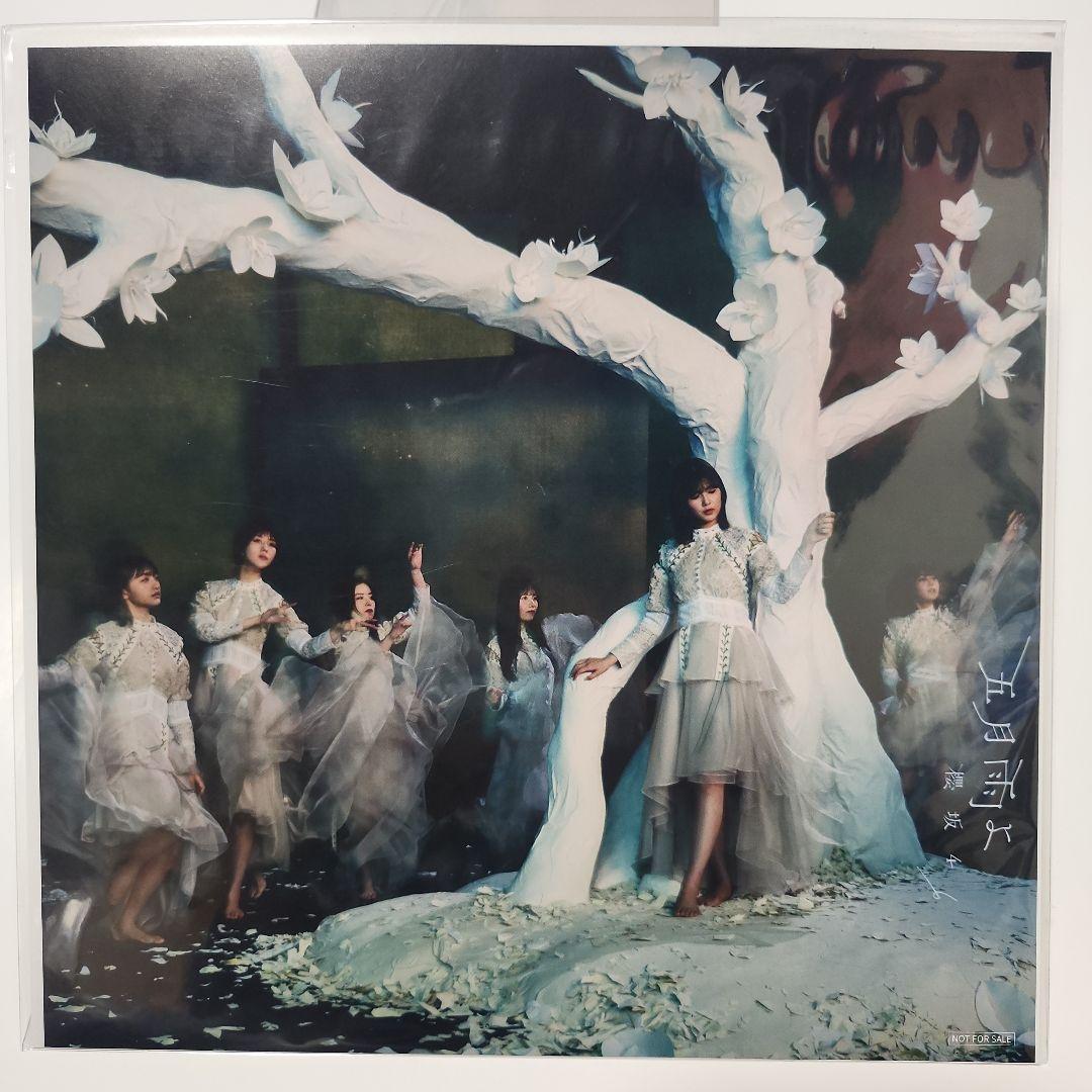 櫻坂46　メガジャケ　五月雨よ