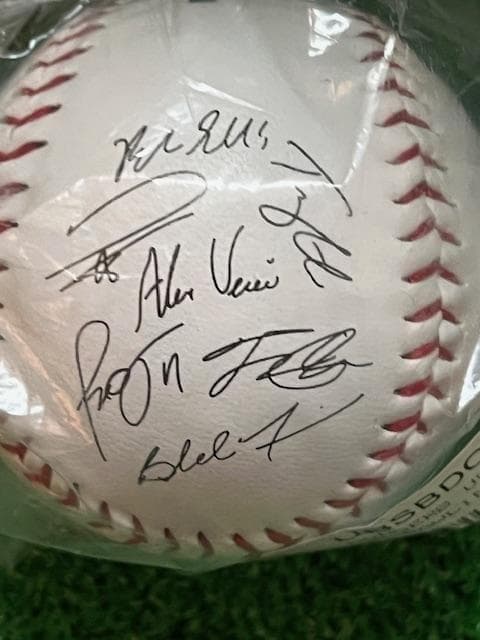 大谷翔平MLB2025WSチャンピオン記念サイン入ボールローリング社US限定品