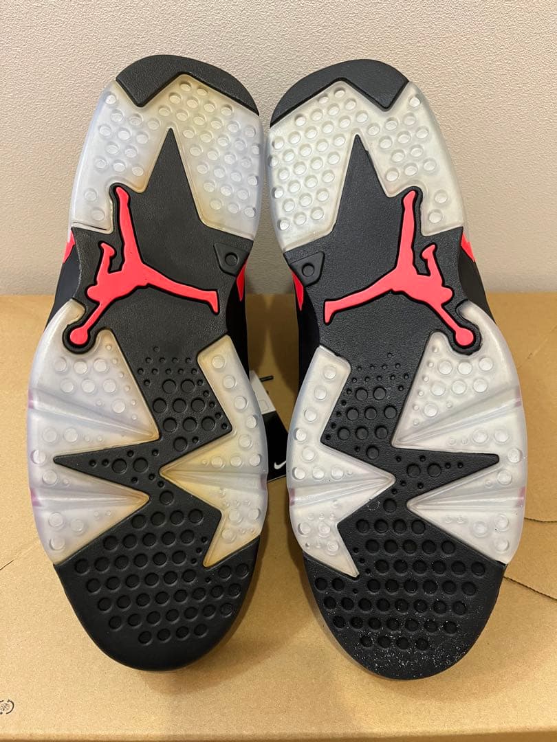 【US10.5】 AIR JORDAN 6 RETRO 384664-023