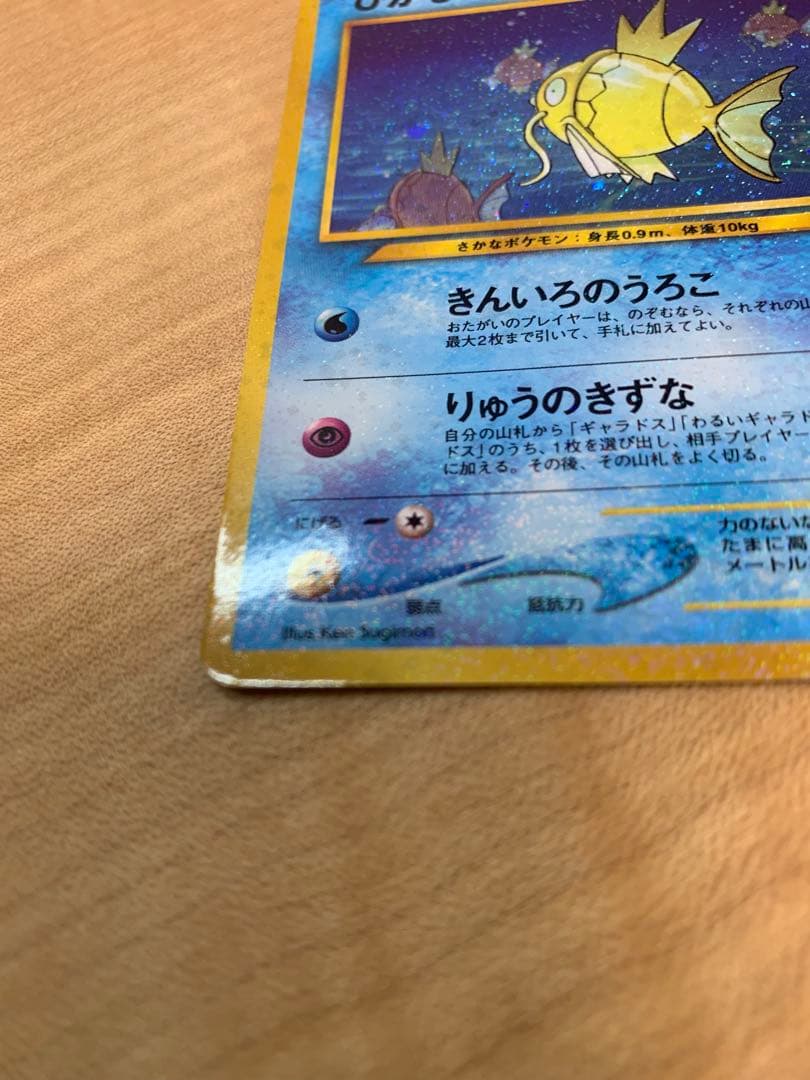 ひかるコイキング　旧裏
