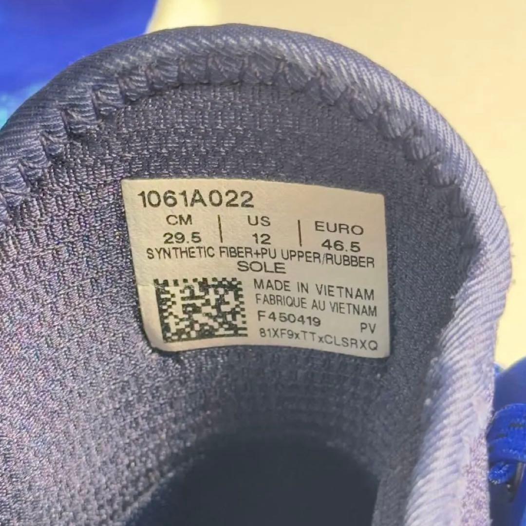 Asics Glide Nova ff2 限定カラー 29.5cm
