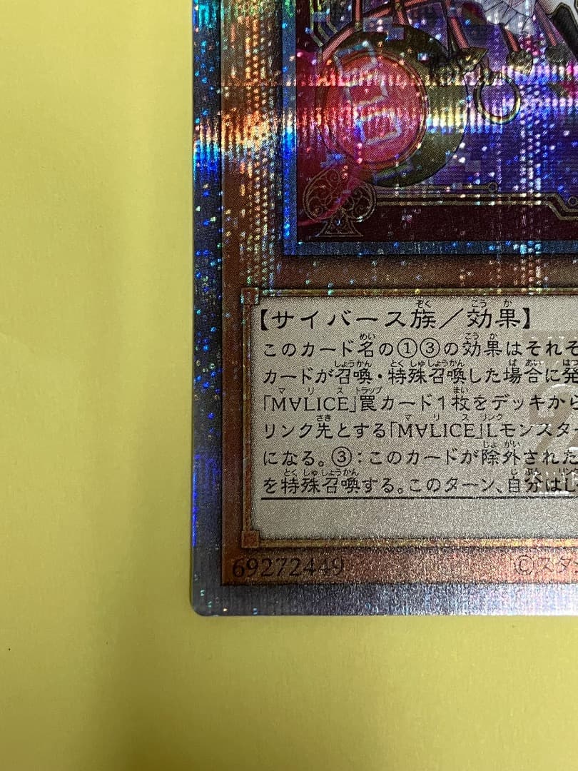 ホワイトラビット　25th