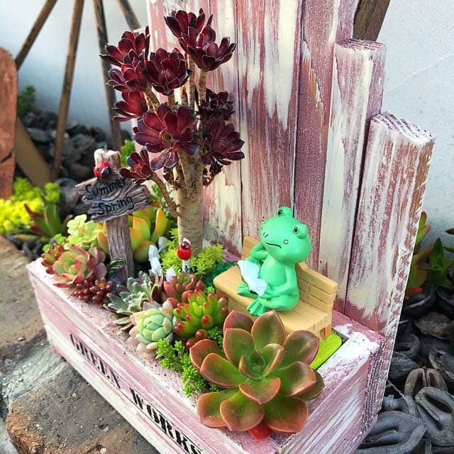 ★多肉植物　寄せ植え〜木製HOUSE 公園　かえるさん〜★