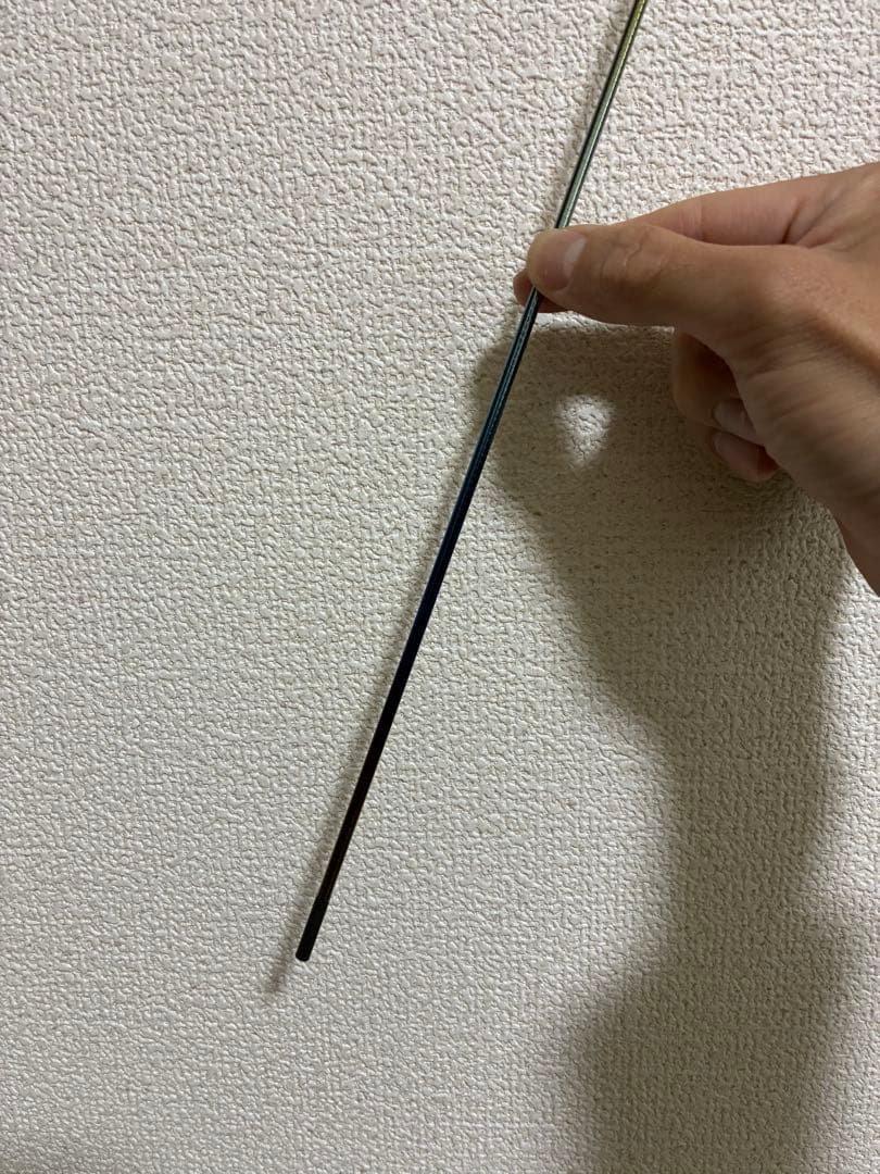 αZOOM AyuLimited Pro. 穂先