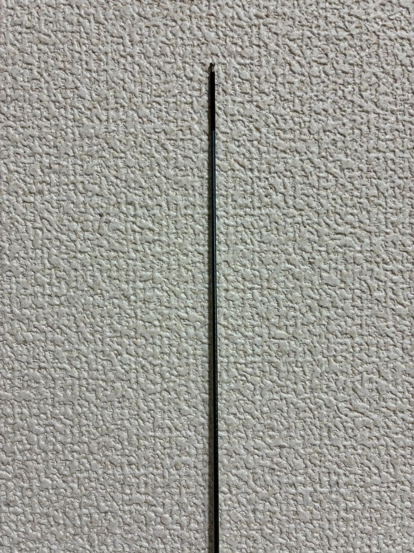 αZOOM AyuLimited Pro. 穂先