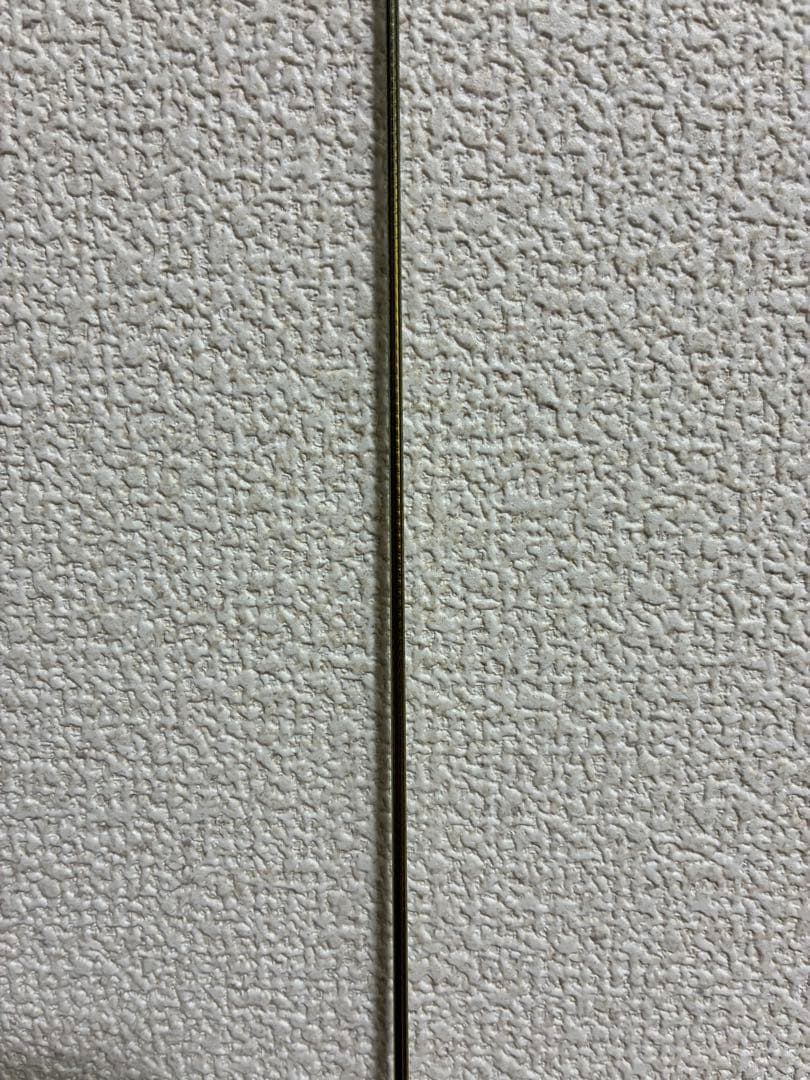 αZOOM AyuLimited Pro. 穂先
