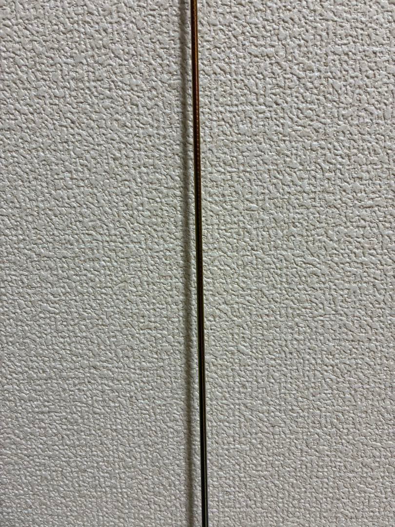 αZOOM AyuLimited Pro. 穂先