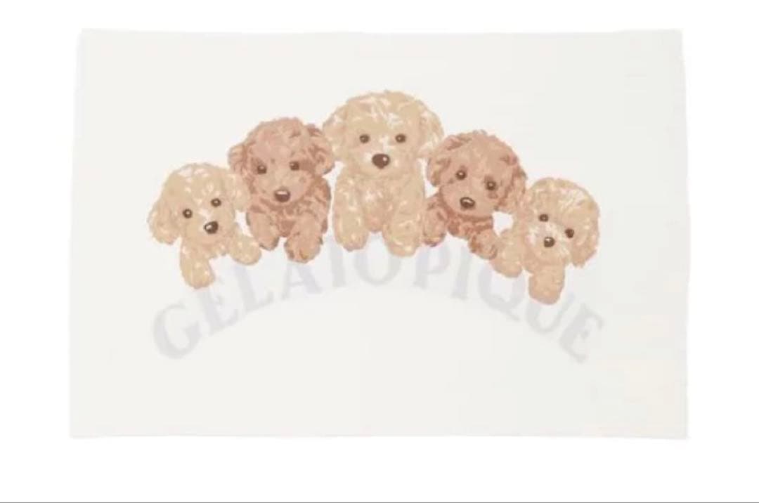GELATO PIQUE ジェラートピケ トイプードル ブランケット