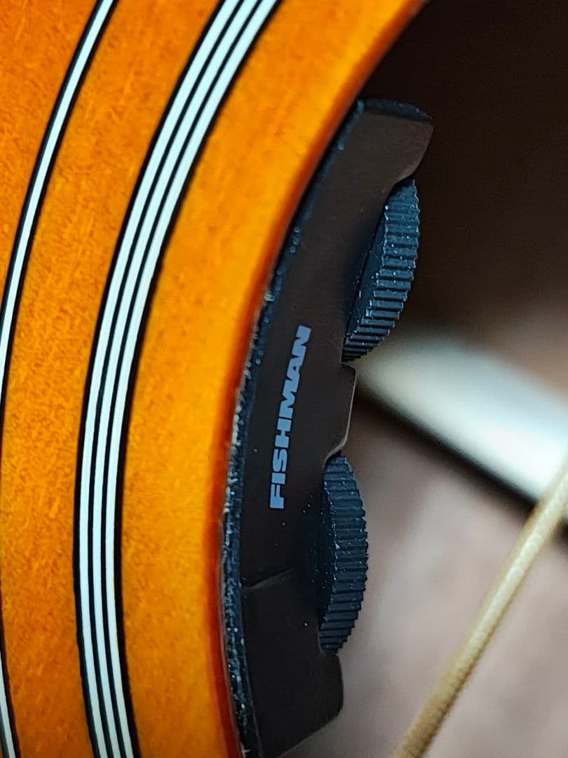 総単板Epiphone Masterbiltハミングバード/極美品ソフトケース
