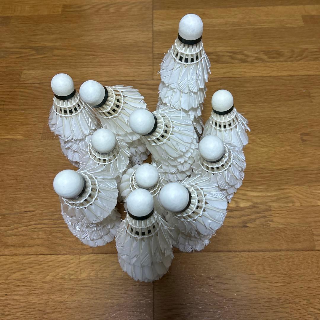 YONEX NEW OFFICIAL バドミントンシャトル パターン練習用 4本