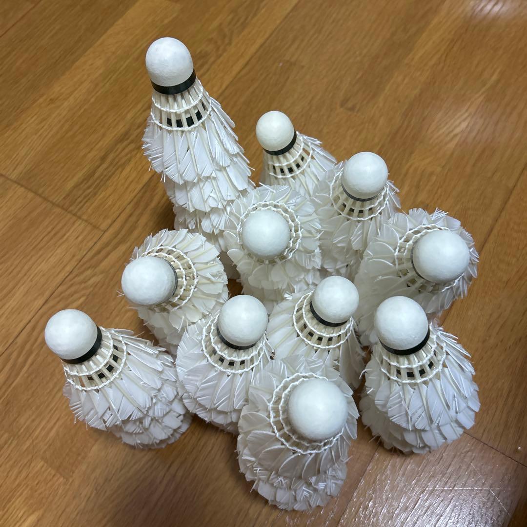 YONEX NEW OFFICIAL バドミントンシャトル パターン練習用 4本