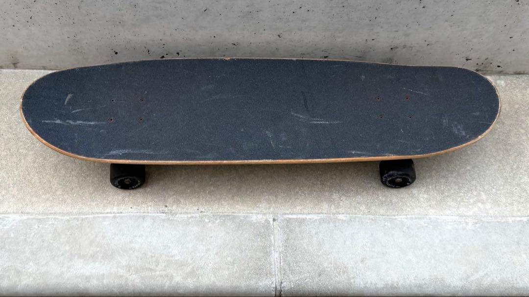 Carver Venice スケートボード コンプリート 良品 限定