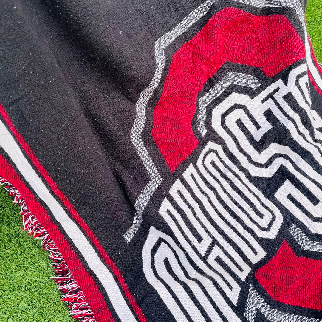 【rug】希少 アメフト OHIO STATE チーム タペストリー ラグ