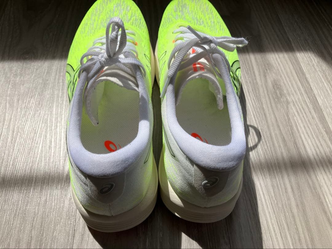asics EVORIDE SPEED2エボライドスピード2 28.0cm 2E