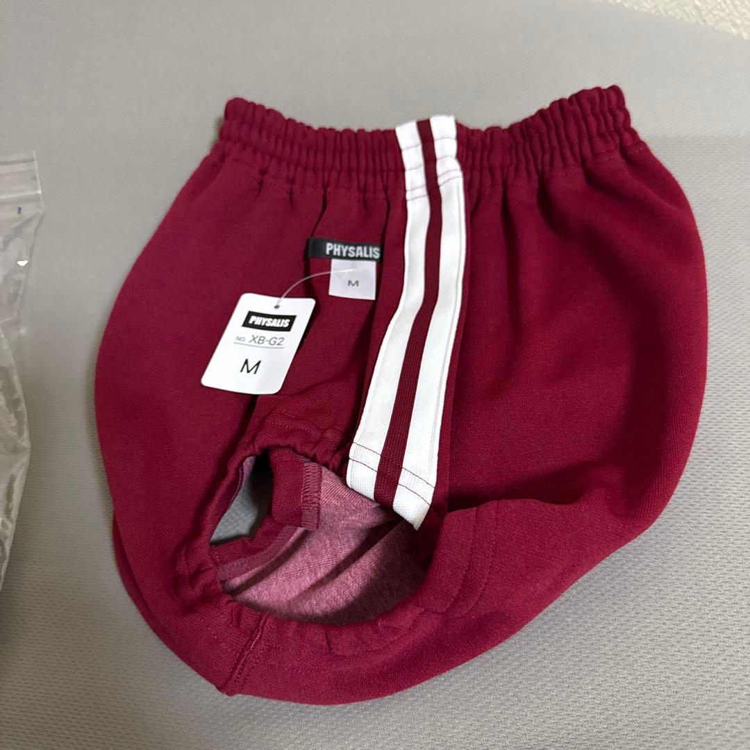 ライン入り　ブルマ