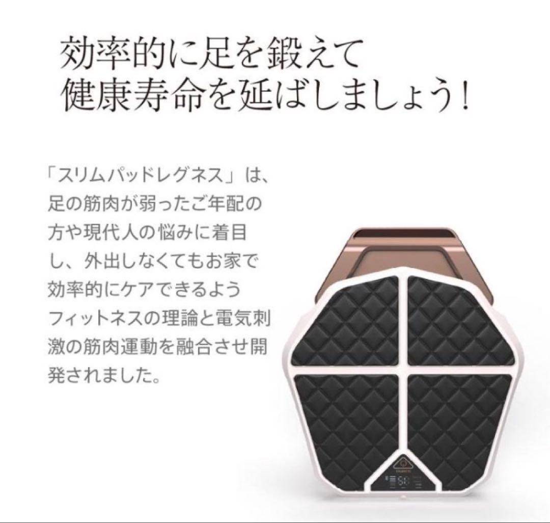 新品未使用 2台セット スリムパッド レグネス CL-HB-550 送料無料