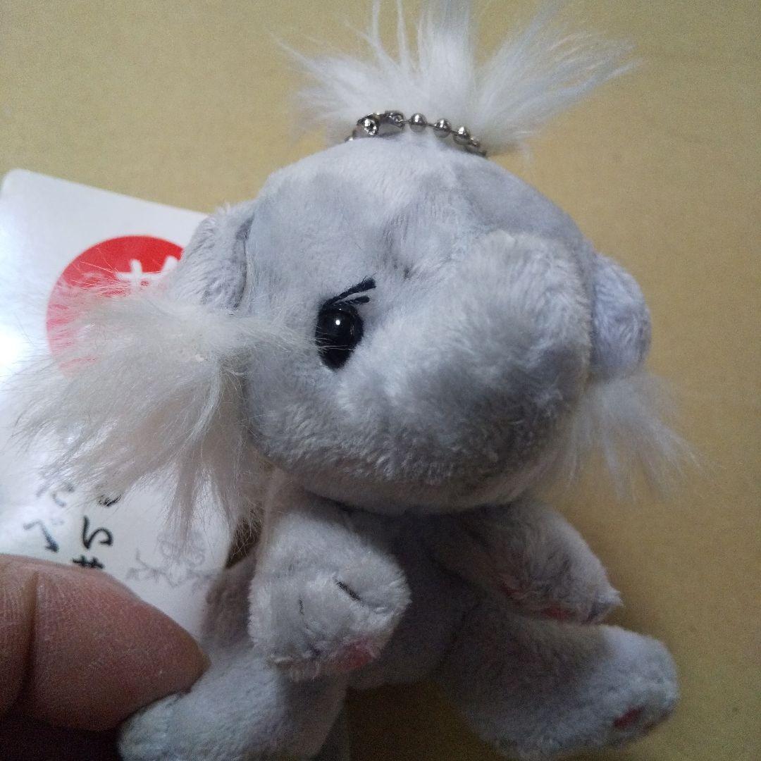 井上文太 セキグチぬいぐるみキーホルダー