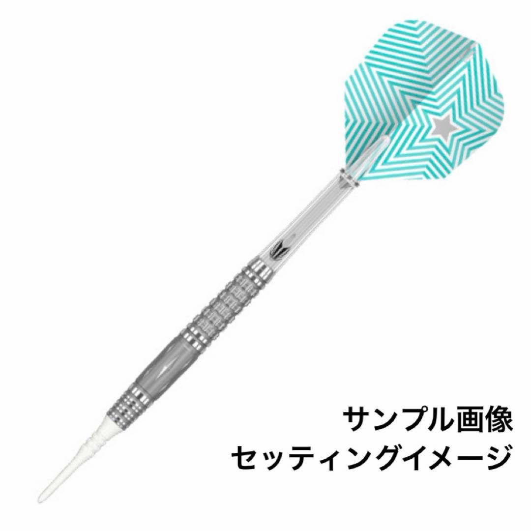 【ターゲット】ザ ミラクル47 鈴木未来プロモデル 18g 定価14055円