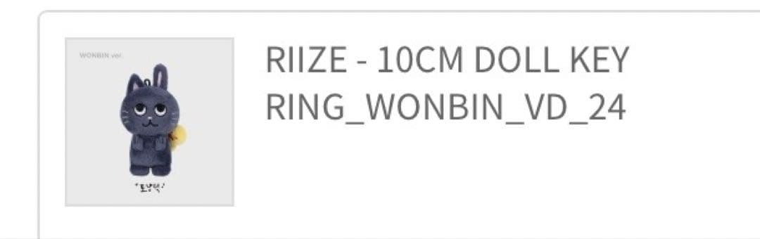 RIIZE 10cmドール KEYRING ウォンビン　トニャンドク　正規品