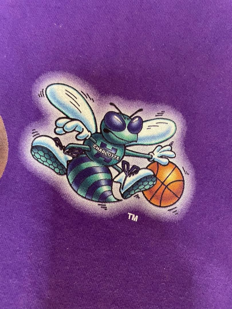 NBAホーネッツ◼️90sビンテージ◼️ラリージョンソンTシャツ◼️USA製SALEM