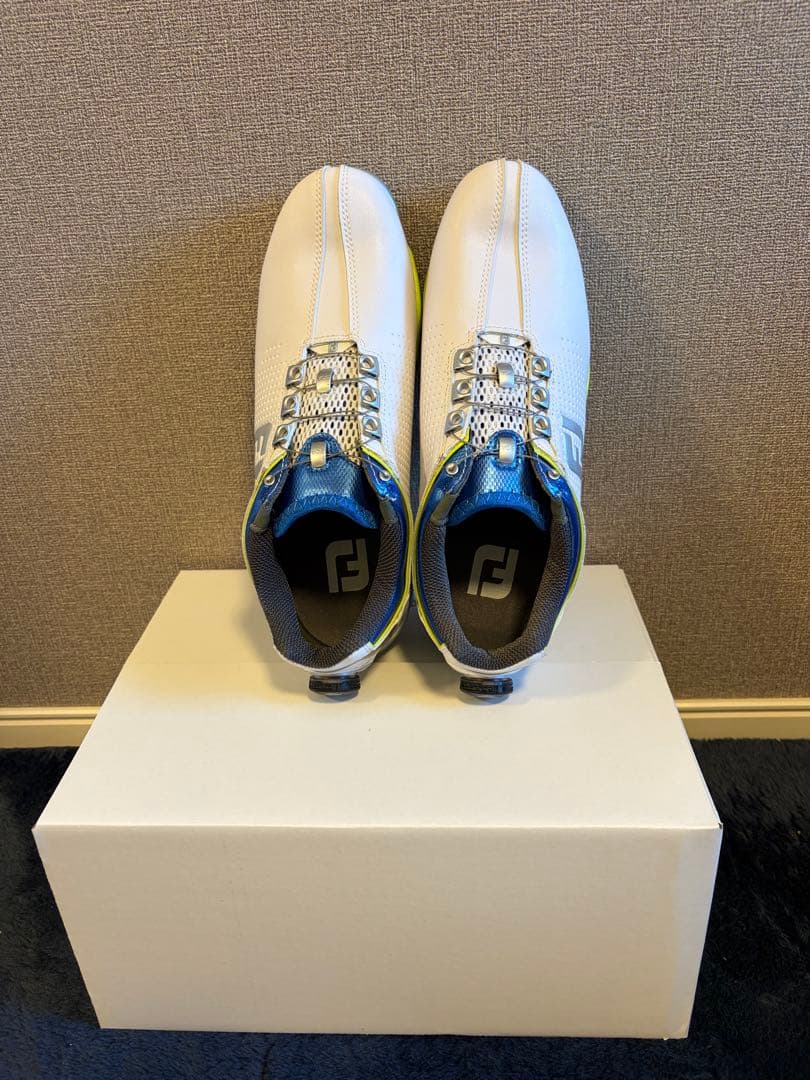 FootJoy ゴルフシューズ メンズ 25cm